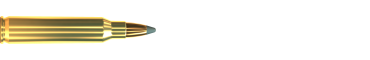 Cartridge 223 REM. SP 55 GRS
