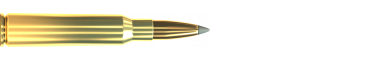 Cartridge 6,5 × 55 SE SBT 140 GRS
