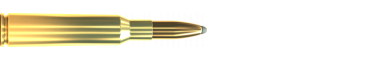 Cartridge 6,5 × 55 SE SP 140 GRS