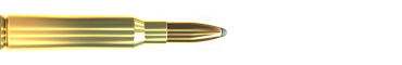 Cartridge 6,5 × 55 SE SP 131 GRS