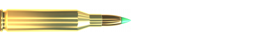 Cartridge 243 WIN. PTS 95 GRS