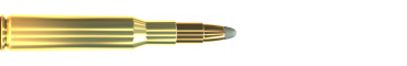 Cartridge 7 × 57 SPCE 173 GRS