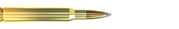 Cartridge 7 × 64 SBT 175 GRS