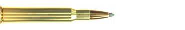 Cartridge 7 × 65 R SBT 175 GRS