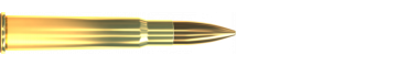 Cartridge 303 BRITISH FMJ 180 GRS