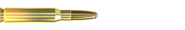 Cartridge 308 WIN. SP 180 GRS