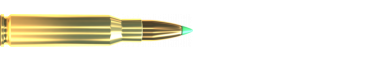 Cartridge 308 WIN. PTS 180 GRS