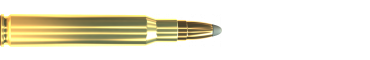 Cartridge 30-06 SPRING. SPCE 180 GRS