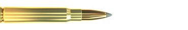 Cartridge 8 × 57 JS SBT 220 GRS