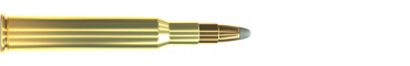 Cartridge 7 × 65 R SPCE 173 GRS
