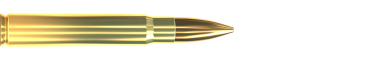 Cartridge 9,3 × 62 FMJ 232 GRS