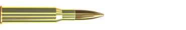Cartridge 7,62 × 54 R FMJ 180 GRS