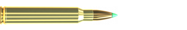 Cartridge 300 WIN. MAG. PTS 180 GRS