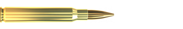 Cartridge 30-06 SPRING. (for M1 Garand) FMJ 150 GRS