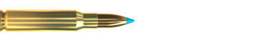 Cartridge 308 WIN. TXRG 165 GRS