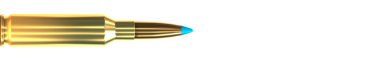 Cartridge 6,5 CREEDMOOR TXRG 120 GRS