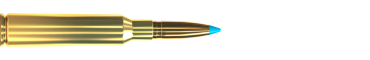 Cartridge 6,5 × 55 SE TXRG 120 GRS