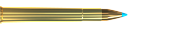 Cartridge 9,3 × 74 R TXRG 250 GRS